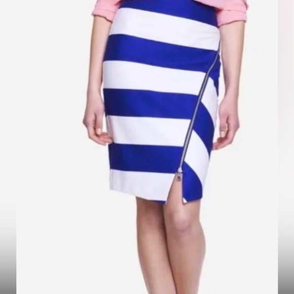 Blue and White Striped Skirt - Picture 1 of 4